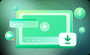 Universal Video Downloader: VidsSave Best Free Option