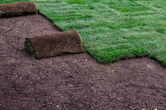 The Complete US Homeowner’s Guide to Hiring Sod Installation Companies: Costs, Questions, and Contracts